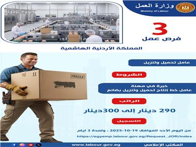 براتب 300 دينار.. «العمل» تعلن وظائف جديدة بالأردن