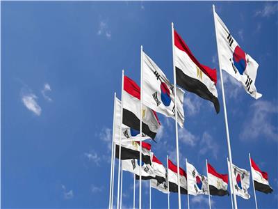 مركزان ثقافيان وجامعة.. اتفاق مصري - كوري على تعزيز التعاون في التعليم العالي