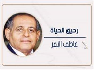 عاطف النمر يكتب: شوكة فى حلق الكيان !