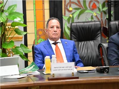 أبو هميلة: مصر ثابتة على موقفها الداعم للقضية الفلسطينية والرافض للتهجير