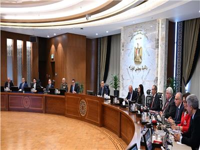 «الوزراء» يُوافق على استكمال إجراءات طرح محطات توليد الكهرباء بجبل الزيت