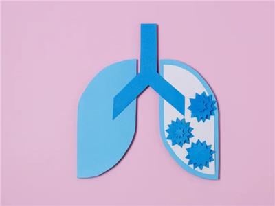 دراسة: الرئة اليمنى تحمل هواءً أكثر من اليسرى