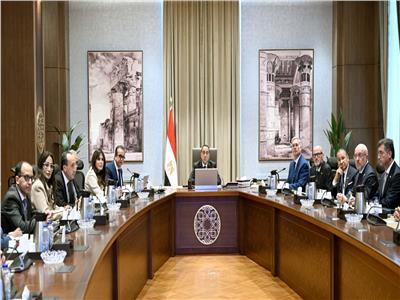 مدبولي يلتقي مسئولي شركة «إيني» ومجموعة مستشفيات «سان دوناتو» الإيطالية