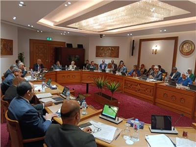 انعقاد اللجنة الدائمة لمتابعة العلاقات المصرية-الأفريقية