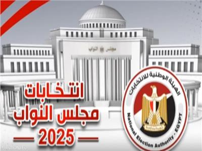 تواصل تصويت الجالية المصرية بالكويت في ثاني أيام جولة الإعادة بالدوائر الـ19