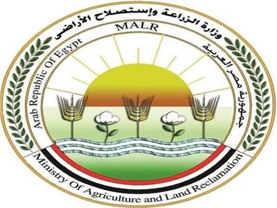 الزراعة: مصر اقتربت من تحقيق الاكتفاء الذاتي الكامل من اللحوم البيضاء
