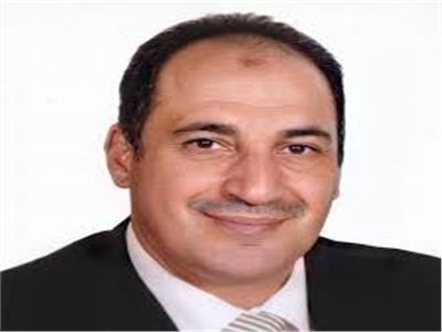 أيمن هيبة: تأجيل إقرار ضوابط ربط المحطات الشمسية للدراسة والتطوير لتشجيع الاستثمار