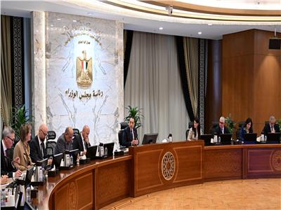 رئيس الوزراء يتابع موقف مشروع إنتاج الهيدروجين الأخضر 