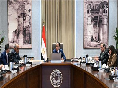 مدبولي يستعرض مستجدات حل مشكلة مديونيات "الكهرباء" لدى الجهات الحكومية