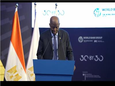 ماذا قال محافظ البنك المركزي النيجيري عن حسن عبد الله؟