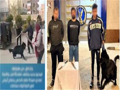 كلب شرس وأسلحة بيضاء.. تفاصيل مشاجرة بسبب حضانة طفل في المنوفية| فيديو