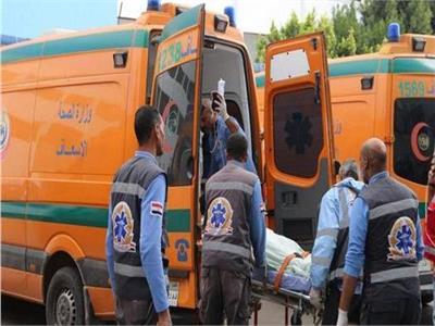 مصرع سائق في حادث سير بأبو المطامير بالبحيرة 