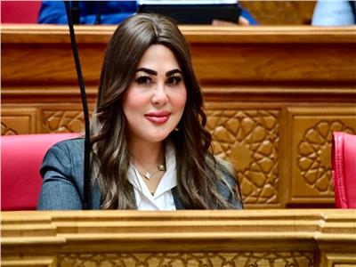 برلمانية: أمن الخليج جزء لا يتجزأ من عقيدة الأمن القومي المصري.