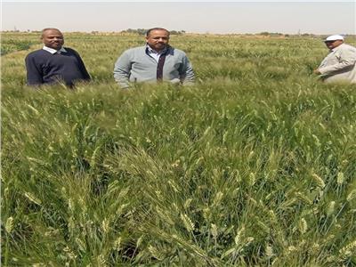 «الزراعة» تتابع البرامج البحثية والحقول الإرشادية بأسوان في إجازة عيد الفطر