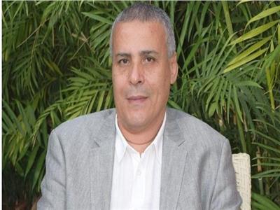 عماد قناوي: دعم الاستثمار المحلي هو نقطة الانطلاق الحقيقية لجذب الاستثمار الأجنبي