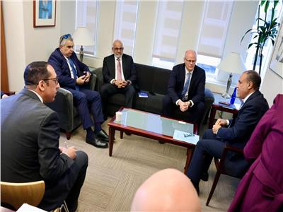 وزير الخارجية يؤكد ثوابت الموقف المصري من القضية الفلسطينية ويبحث مع البنك الدولي دعم إعادة إعمار غزة