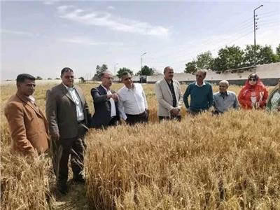 المحاصيل الحقلية يتابع البرامج البحثية بالإسماعيلية لدعم الإنتاجية