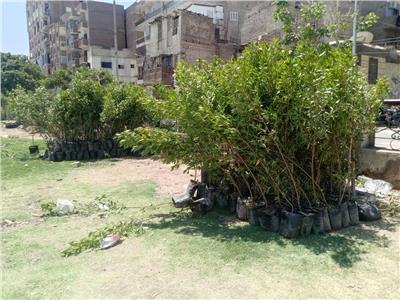 تحويل موقع مخلفات بالوليدية بأسيوط إلى مساحة خضراء نظيفة 
