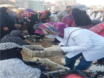 الخدمات البيطرية: تحصين 115 ألف طائر ضد الأمراض الوبائية بالشرقية