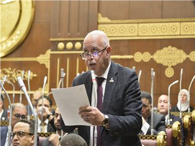 "الشيوخ" يوافق على حل أزمة قصر ثقافة طنطا