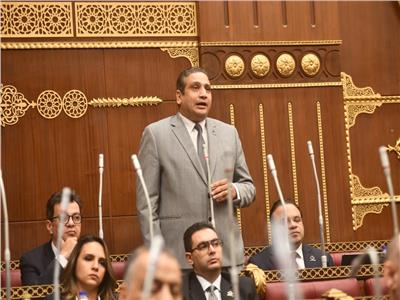 برلماني يطالب بالتوسع في الطيران منخفض التكلفة عبر مطار سفنكس