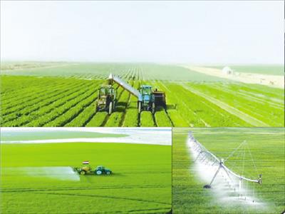ثورة تنموية فى قلب الصحراء| الدلتـا الجـــديــــدة.. مستقبل مصر الزراعى