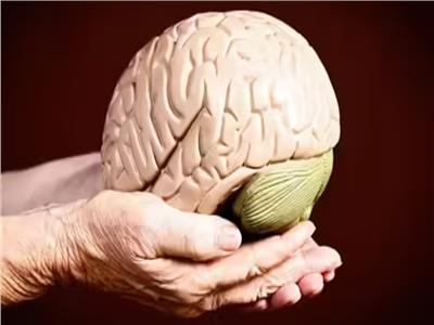 لازم تجربهم.. 8 هوايات بسيطة تحافظ على شباب الدماغ وتبطئ الشيخوخة