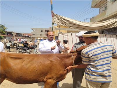 محافظ الدقهلية يتابع القوافل البيطرية بتمي الأمديد
