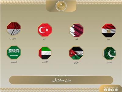 وزراء الخارجية العرب والمسلمين يدينون أفعال الوزير الإسرائيلي بأسطول غزة   