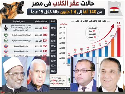 الكلاب الضالة| بين الرحمة واستئصال الخطر.. أزمة تثير الجدل فى الشارع المصرى