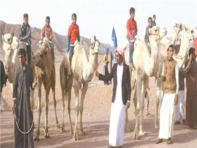 طقوس لا تغيب| سِباقات الهجن حاضرة فى احتفالات السيناوية