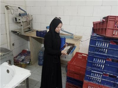 ضبط نصف طن جبن غير صالح للاستهلاك خلال حملات رقابية بمركزي المنيا ومطاي