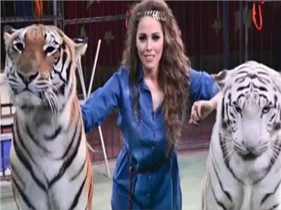 أنوسة كوتة: أنا عندي أندر أنواع النمور في مصر والوطن العربي