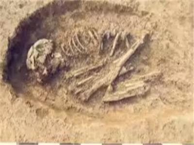 أحفورة تفاجئ العلماء.. خطأ استمر 70 عامًا يغير فهم أصول البشر في اليابان