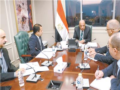 تكليفات رئاسية لتنفيذ مشروعات الطاقة النظيفة بـ«الجنيه»