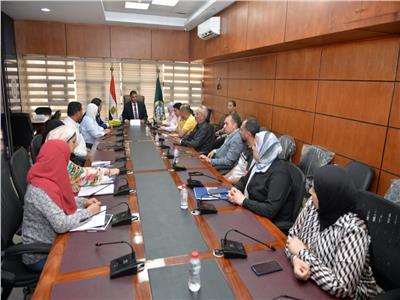 الدقهلية تدعم الاستثمار وتستعد لجوائز التميز المؤسسي