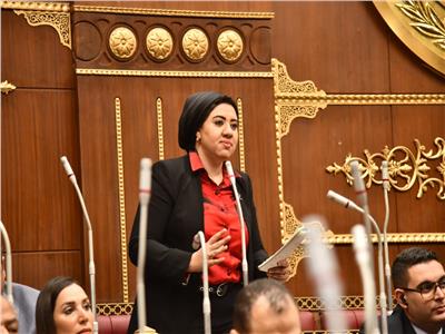 عضو بالشيوخ تتساءل عن مدى واقعية افتراضات الخطة وأسباب محدودية الإنفاق على مشروع تكافل وكرامة