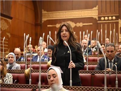 بعد «نظام الطيبات».. تحذير برلماني من انتشار «نصابين الطب»