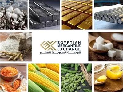  بشاي: البورصة السلعية حائط صد ضد التلاعب بالأسعار