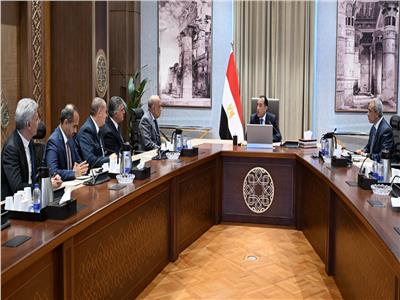 مدبولي: الدولة استثمرت الكثير في مشروعات الطاقة الجديدة والمتجددة