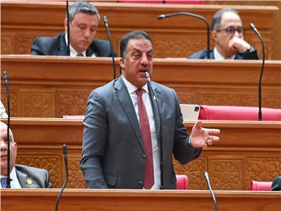 غدا.. «زراعة النواب» تناقش طلب إحاطة بشأن نقص الأسمدة بالجمعيات الزراعية