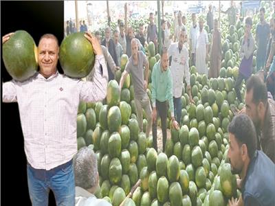 أستاذ البطيخ| أعاد التقاوى المصرية.. أنتج الهجن «اللابذرية».. ووفّر العملة الصعبة