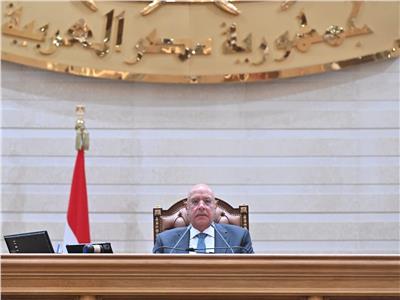 رئيس النواب: المعارضة أثبتت حرصها على الوطن في مناقشات مشروع «مستقبل مصر»