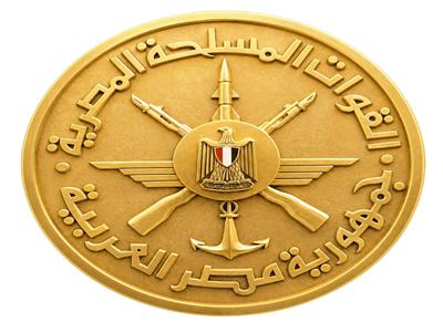 بدء صرف المرحلة الأولى من مبادرة «مصر معاكم» للقصّر من أبناء الشهداء 