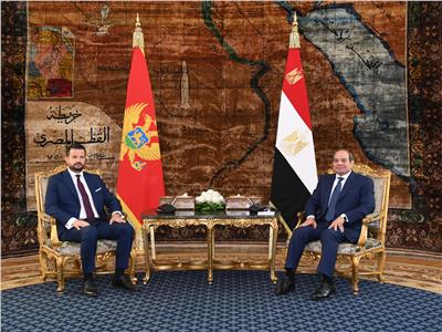 الرئيس السيسي يجدد رفض تهجير الفلسطينيين ويؤكد ضرورة إعادة إعمار غزة