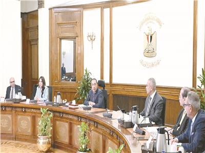 مدبولى: «تعداد السكان» خريطة مُوجهة للمبادرات القومية