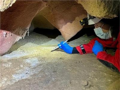 العثور على حمض نووي بشري قديم في جدران الكهوف في إسبانيا والبرتغال