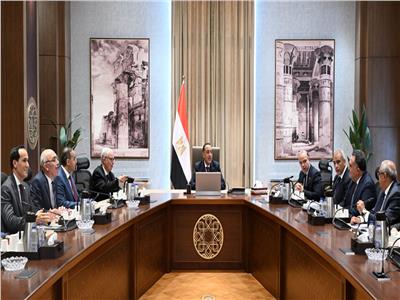 رئيس الوزراء يستعرض جهود تحفيز بيئة الاستثمار بمنطقة شبه جزيرة سيناء    
