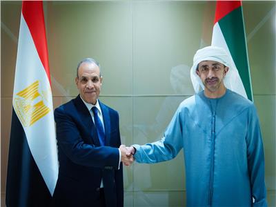 مصر والإمارات تؤكدان على أهمية صون حرية الملاحة في مضيق هرمز 
