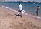 فيديو.. "الكشري السخن" على شواطئ شرم الشيخ